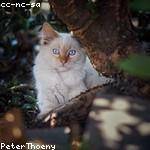 Melyna Swift Profile Picture