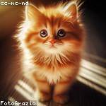 Marlee Marquardt Profile Picture
