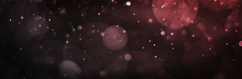 Eryn Schneider Cover Image